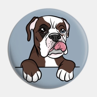 Tri colored Boxer Pin