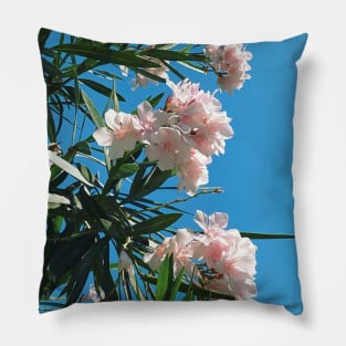 Pretty Pink Flowers Photography design with blue sky nature lovers Pillow