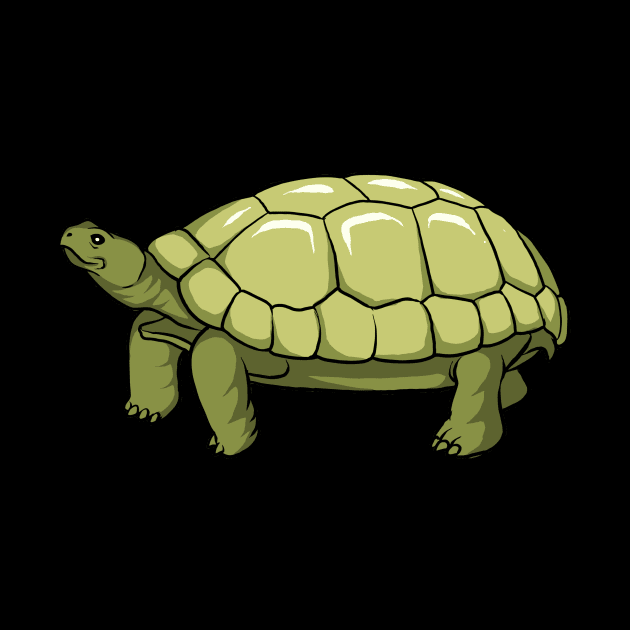 Tortoise by fromherotozero