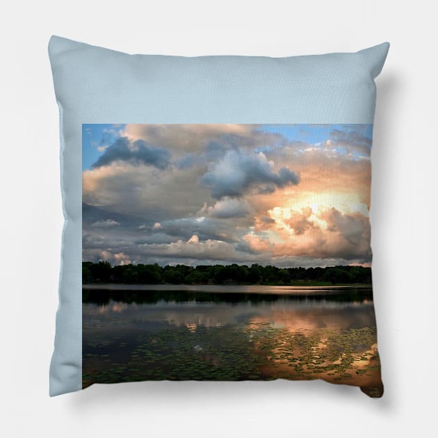 Oxbow's Splendor Pillow by Colette22