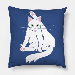 Cat bath Pillow