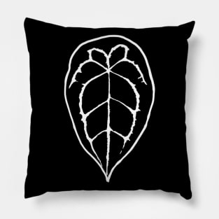 Anthurium forgetii Pillow