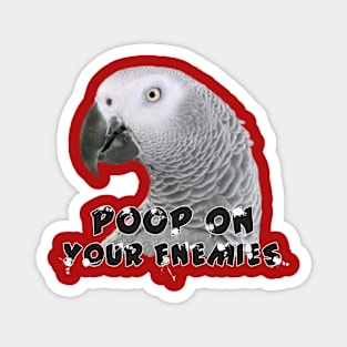 African Grey Parrot Poop on Enemies Magnet