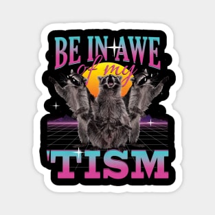 Be In Awe Of My 'Tism Autism Funny Raccoons Magnet
