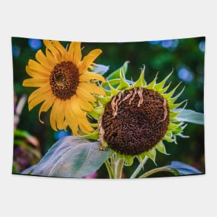 Sunflower Sister Photograph Tapestry