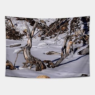 Artistic driftwood Tapestry