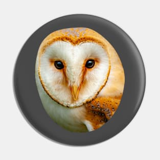 Barn Owl Pin