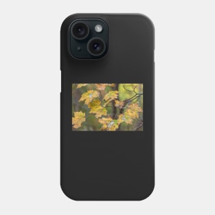 Maple Leaves Phone Case