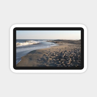 Chincoteague Island Beach Magnet