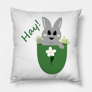 Hay! Bunny in a Pocket Pillow