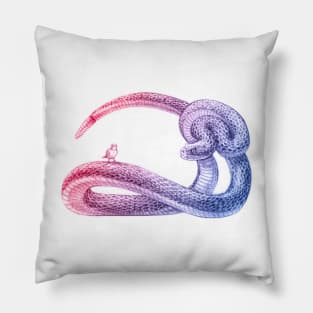 Hey, Little Songbird (red&blue) Pillow