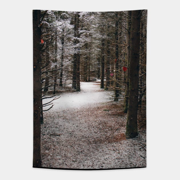 Photo of Mysterious Forest Trail Covered with Snow V2 Tapestry by Family journey with God