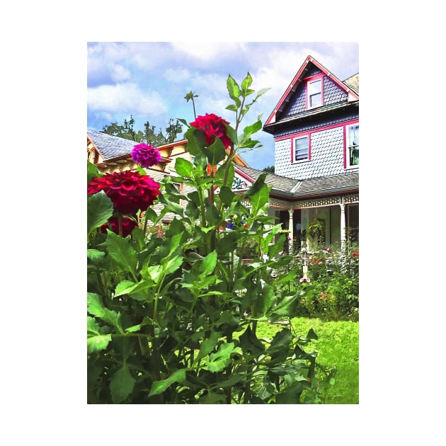 Belvidere NJ - Dahlias in Front Garden by SusanSavad