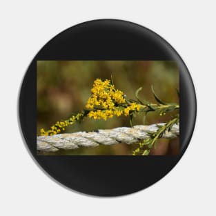 Goldenrod drooping on a rope Pin