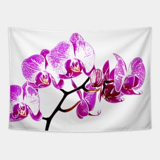 Orchid Tapestry