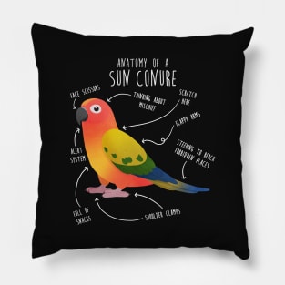 Sun Conure Parrot Anatomy Pillow