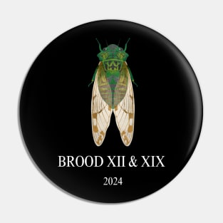 Cicada Brood XIII & XIX 2024 Pin