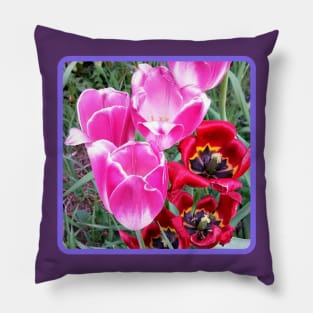 Pretty Tulips Pillow