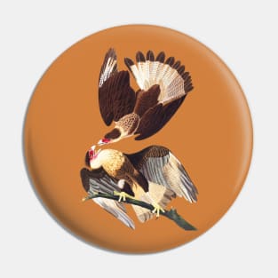 Caracara Eagles No. 2 Pin