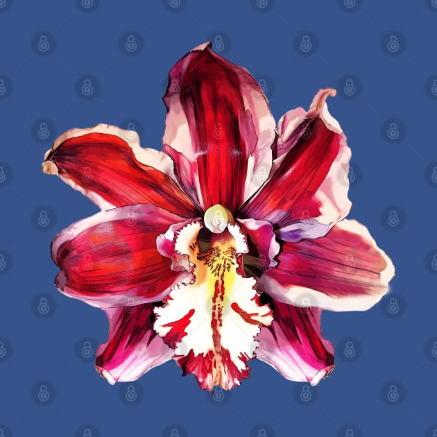 Red Orchid Flower by Pine Hill Goods