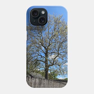 Majestic Old Tree in Springtime Phone Case