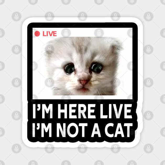 Funny I M Here Live I M Not A Cat Funny Meme Humor Gift Im Here Live Im Not A Cat Magnet Teepublic