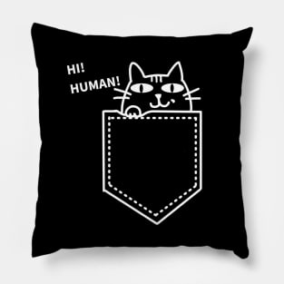 Cat says: Hi! Human! Pillow