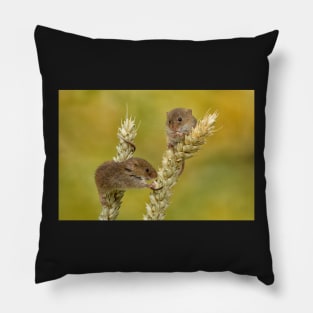 harvest mice on corn Pillow