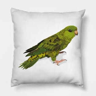 Catita Barrada Pillow