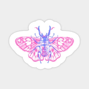 The Beetle and Butterfly Magnet