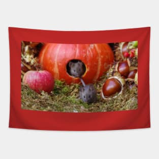 Autumn wild mice with a halloween pumpkin Tapestry