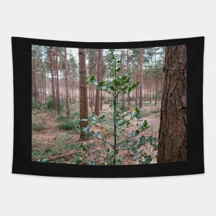 Holly Leaf tree with big trees in the background Tapestry