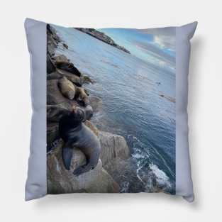 Sea Lion Overview Pillow