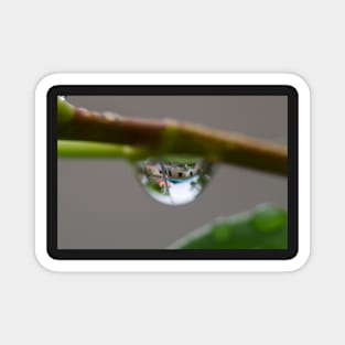 Raindrop mood clear Magnet