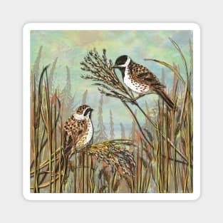 Reed Buntings Magnet