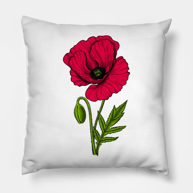 Red poppy 2 Pillow by katerinamk