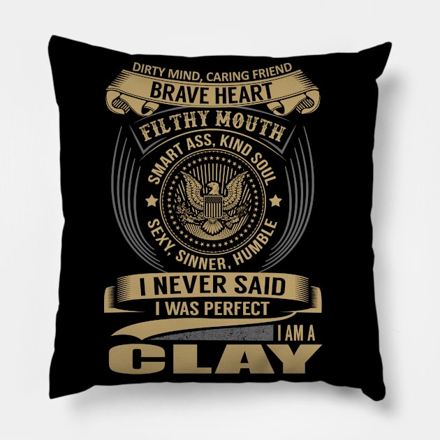 CLAY Pillow by Nicolbar