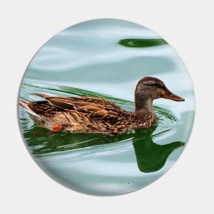 Duck Swimming In a Pond Pin