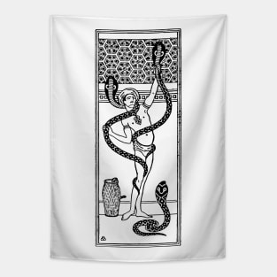 Cobra Charmer Tapestry