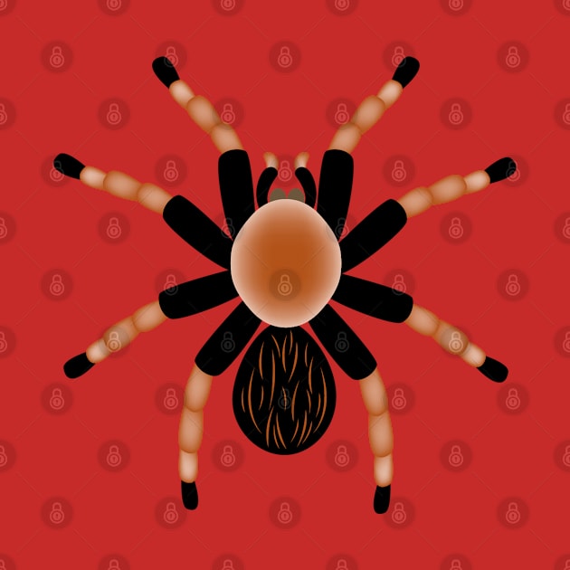 Spider Tarantula by Happy Art Designs