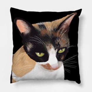 Calico Cat Pillow