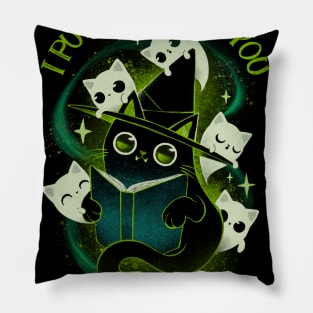 I put a Spell on you! Pillow