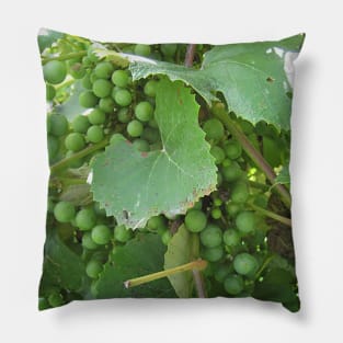 Green Grapes Pillow