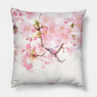 Cherry Blossom Japanese Flowers Photography Pillow