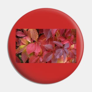 Red Autumn Leaves Pin