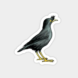 Crested Myna Magnet