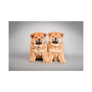 Chow chow  puppies T-Shirt