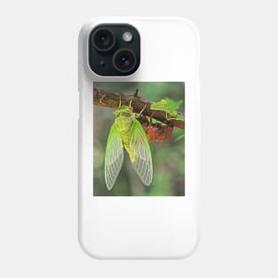 Cicada Emerging from it&#39;s Shell Phone Case