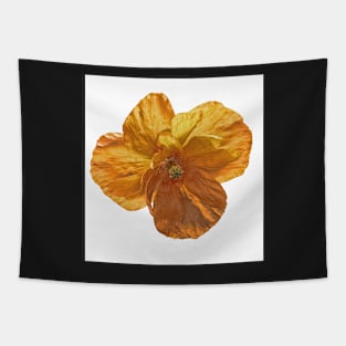 Poppy flower head. Tapestry