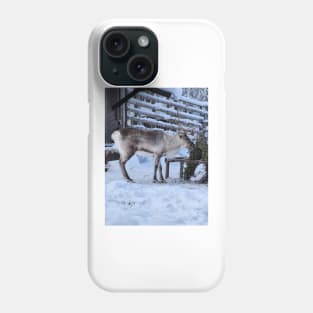 Lapland Phone Case